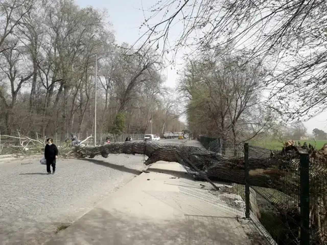 Meteoroloji uyardı: Batı Karadeniz ve Marmara’da fırtına bekleniyor