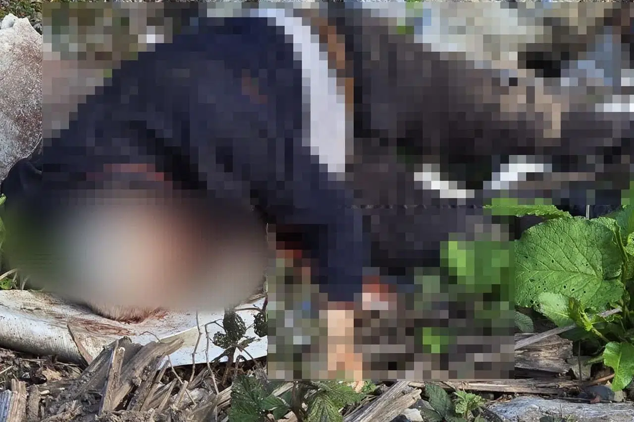 Düzce’de yayla yolundaki cinayette zanlı suçunu itiraf etti