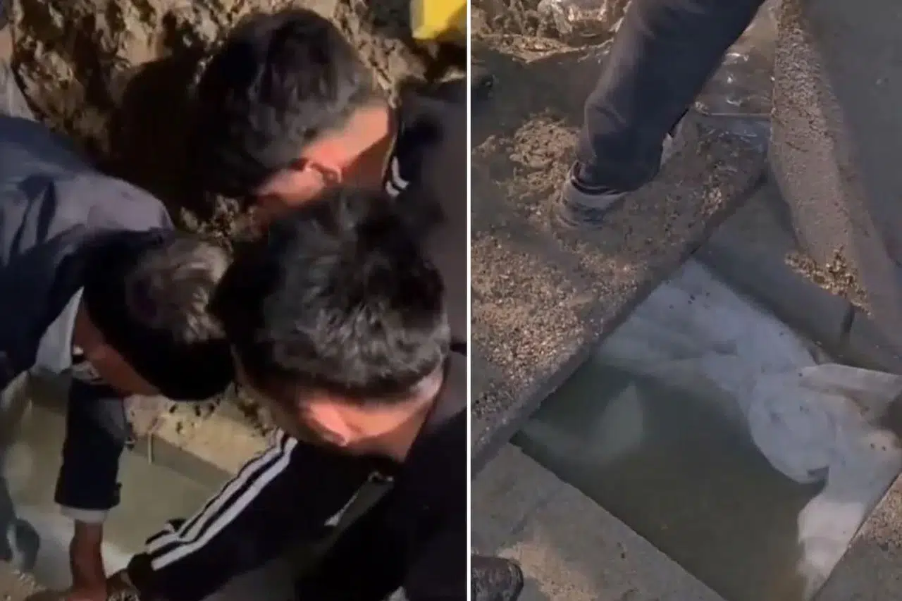 Mezarlıkta şaşkına çeviren olay: Görenler ekiplere haber verdi