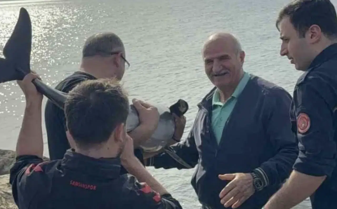 Samsun'da kayalıklara sıkışan yunus kurtarıldı