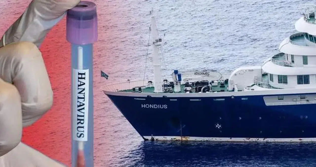 Hantavirüs nedir, nasıl bulaşır? Belirtileri ve korunma yolları