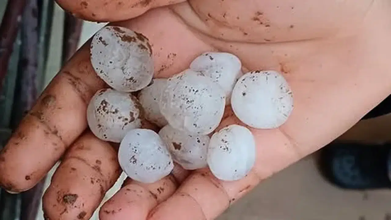Gaziantep’te dolu yağışı paniğe neden oldu