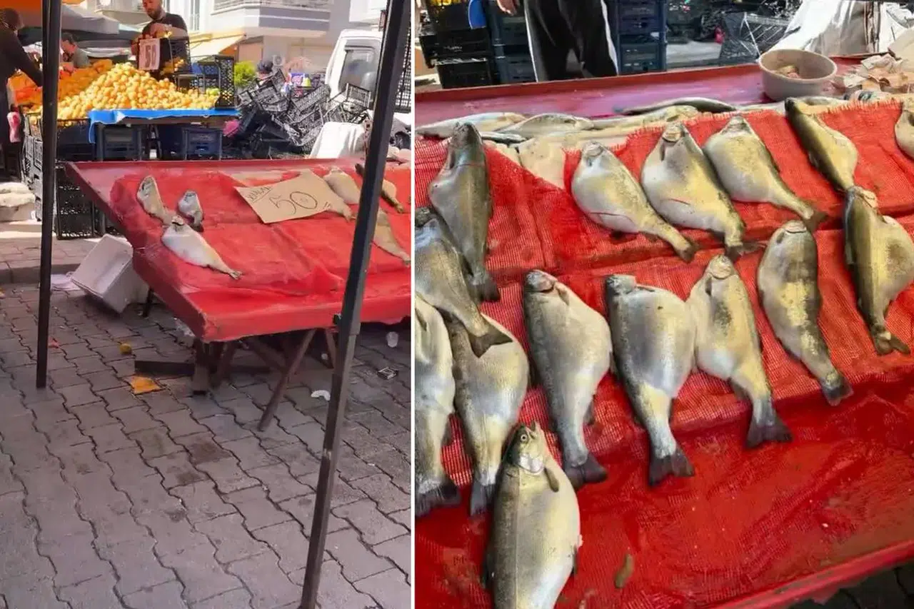 Pazarda kilosu 50 TL’ye satılan karpuz dikkat çekti uzmanlar uyardı