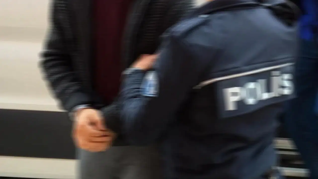 İzmir'deki kedi ölümleri! Serbest bırakılan veteriner yeniden gözaltına alındı