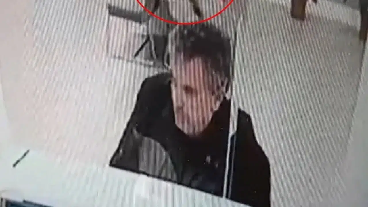 Bankada işlem yaparken üzerine tavandan kedi düştü