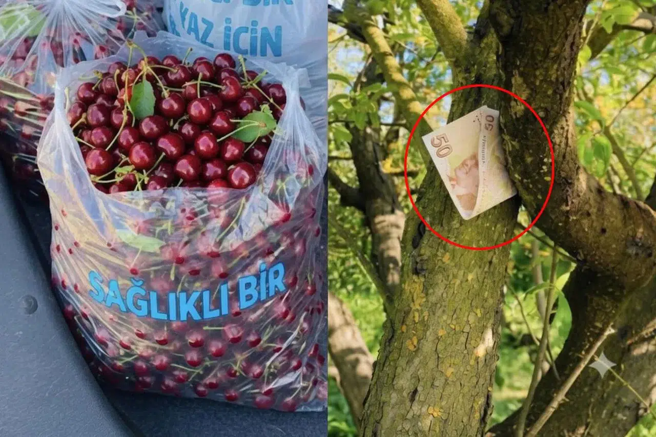 Sosyal medyada tartışma yaratan fotoğrafın perde arkası ortaya çıktı
