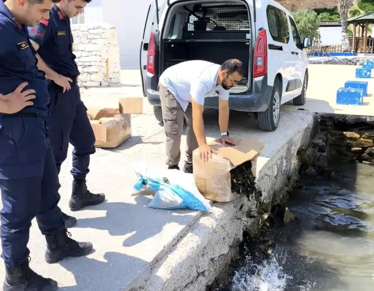 Aydın’da menşe belgesiz taşınan 60 kilogram canlı yengeç ele geçirildi