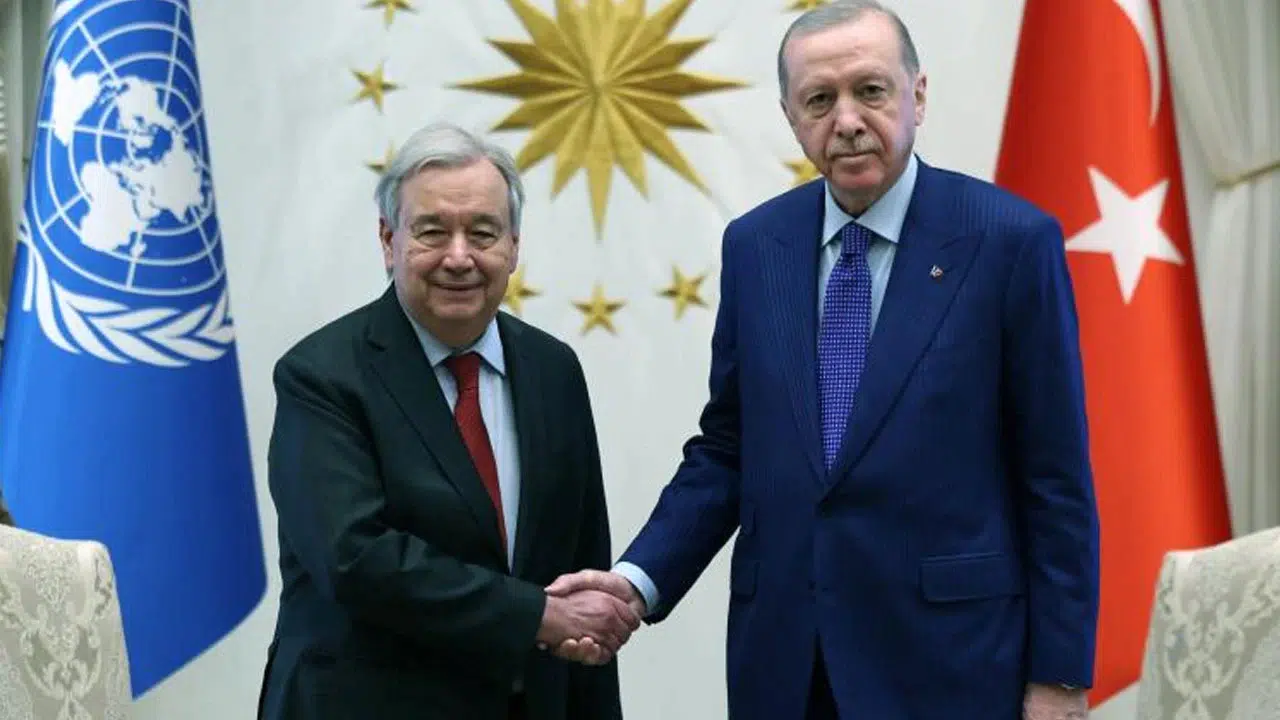 Cumhurbaşkanı Erdoğan, BM Genel Sekreteri Guterres ile görüştü