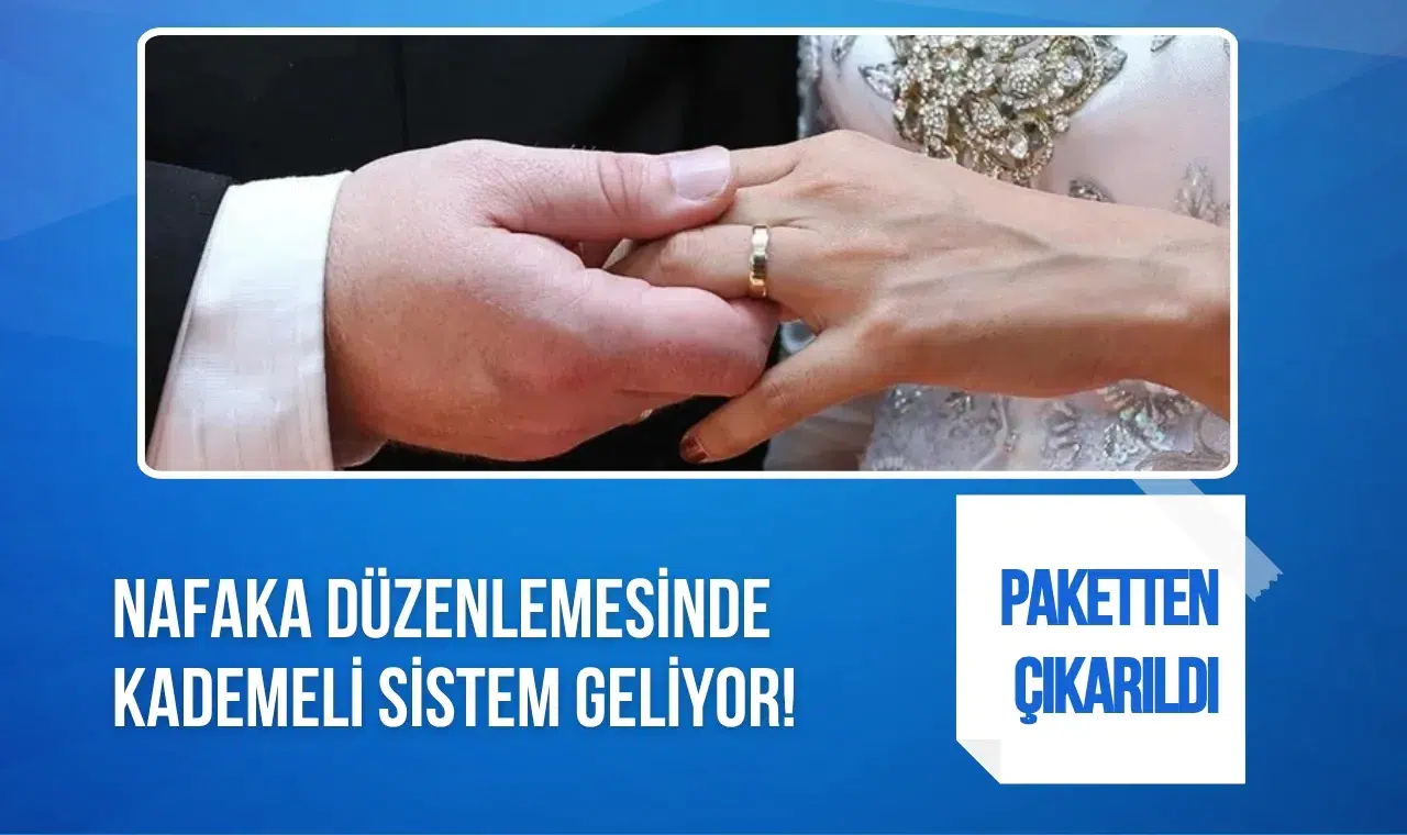 Nafaka düzenlemesi ertelendi: Kademeli sistem için yeni yasa hazırlanacak