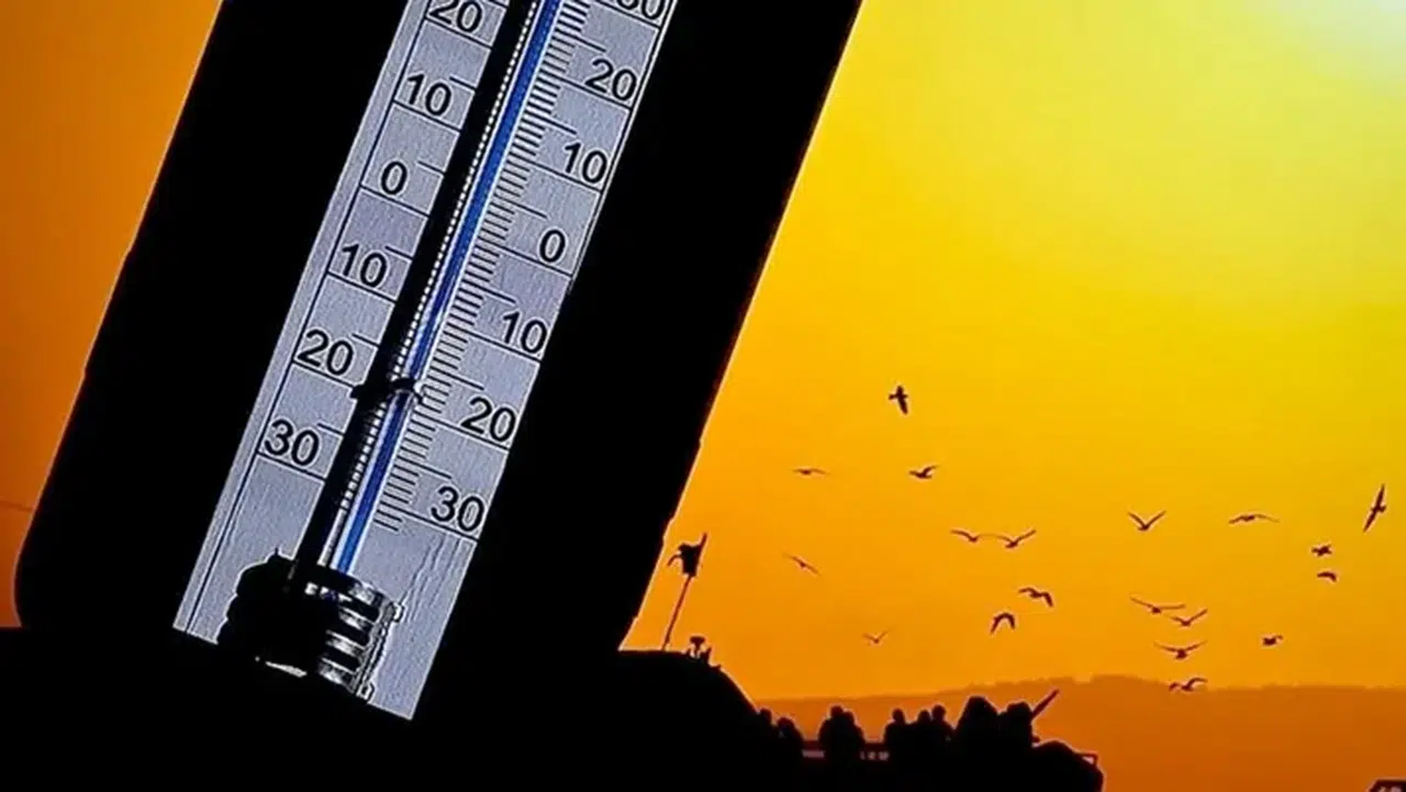 Afrika sıcakları can almaya devam ediyor! Ölü sayısı 10'a yükseldi