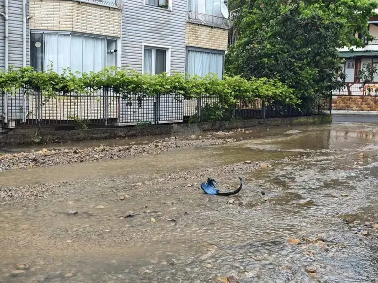 Ordu’da şiddetli yağış nedeniyle ev ve iş yerlerini su bastı