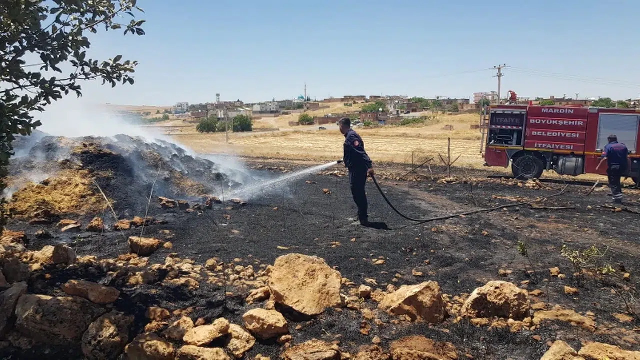 Mardin'de 4 ilçede çıkan anız ve orman yangınları kontrol altına alındı