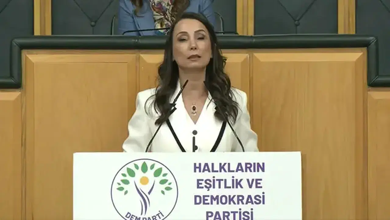 Hatimoğulları: "Çerçeve yasanın acilen çıkması gerekiyor"