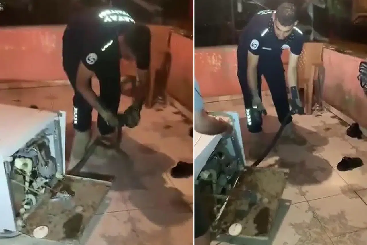 Bulaşık makinesinden 2 metrelik karayılan çıktı