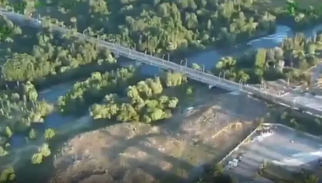 Hevsel Bahçeleri'nde uyuşturucu operasyonu: 12 binden fazla kenevir ele geçirildi