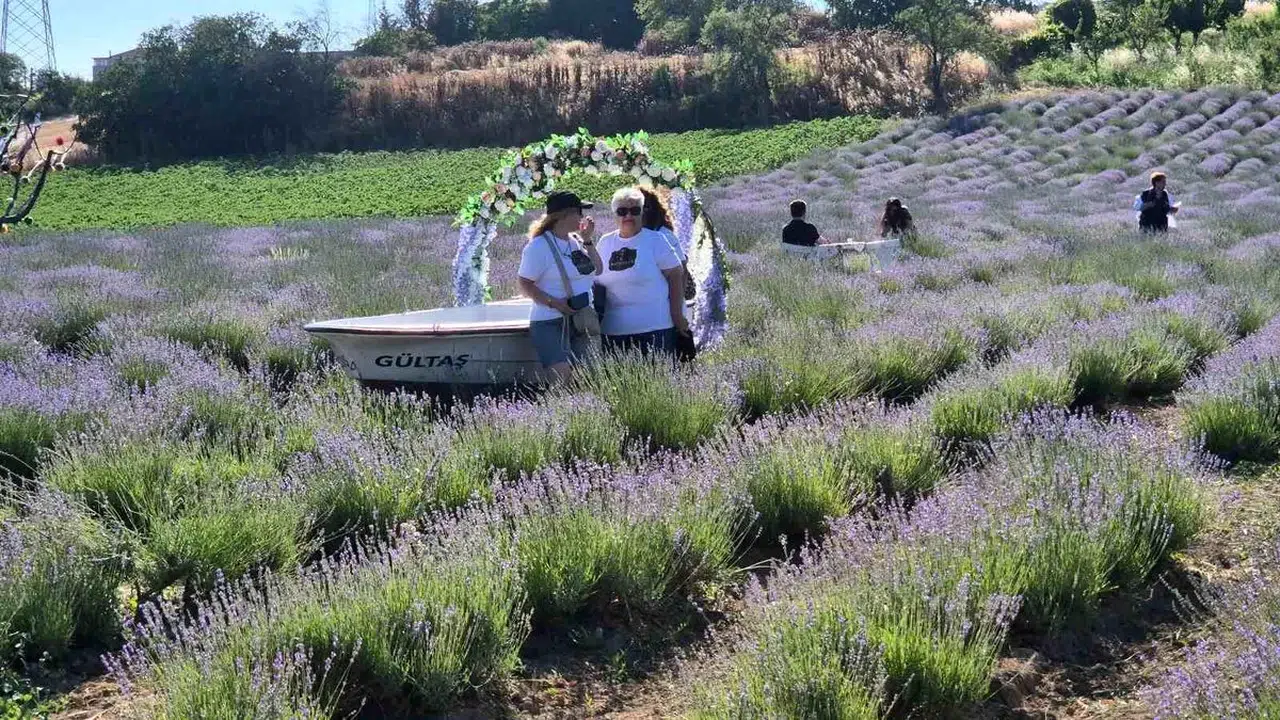 Tekirdağ'da lavanta sezonu etkinliklerle açıldı