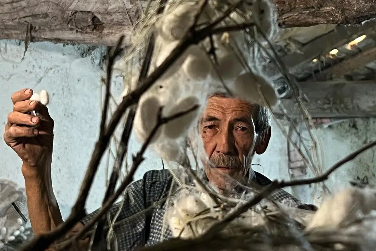 60 yıllık emeğin karşılığı: 71 yaşındaki üretici 40 günde 216 bin TL gelir elde etti