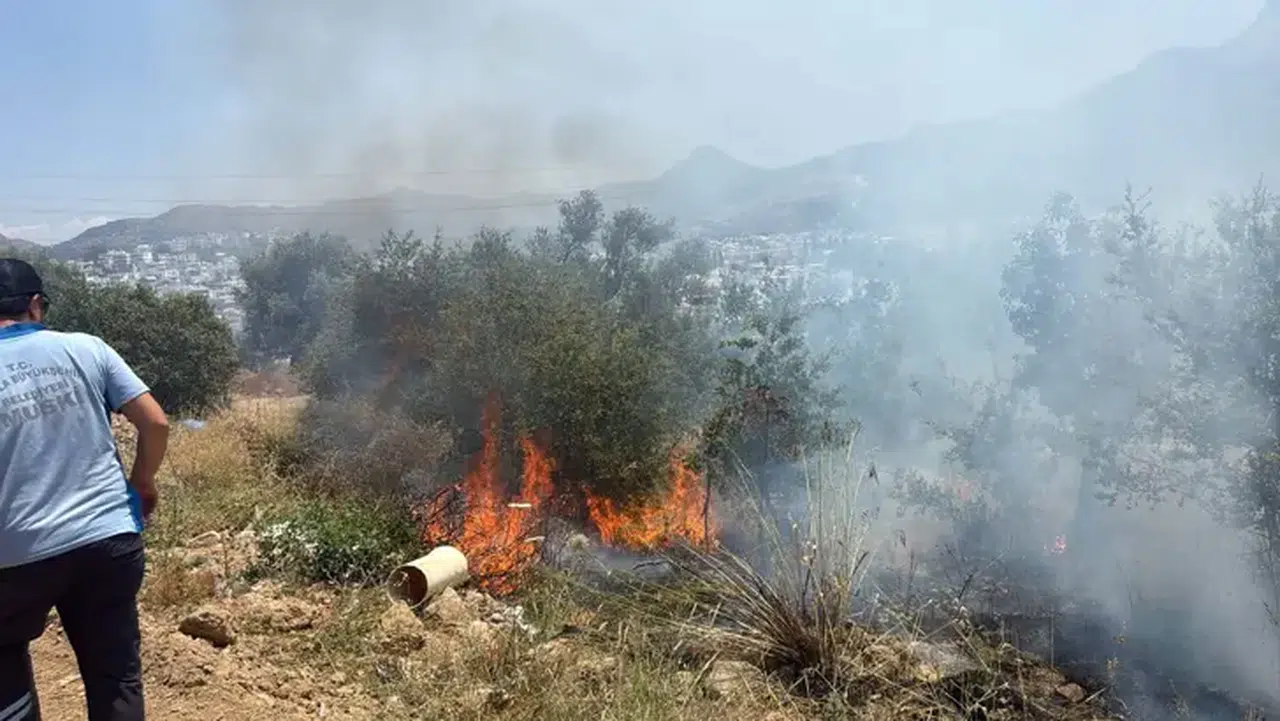 Bodrum'da yangın: Maki yangınında 1 dekar alan zarar gördü