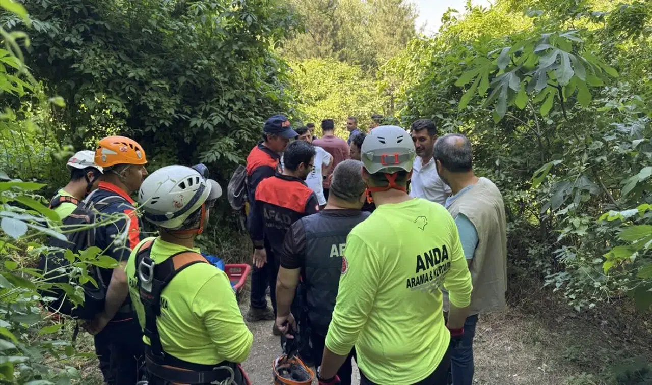 Bursa'da ıhlamur toplamaya giden yaşlı adamın cansız bedenine ulaşıldı