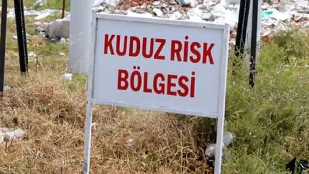 Van'da kuduz alarmı: 7 mahallede karantina uygulaması başlatıldı