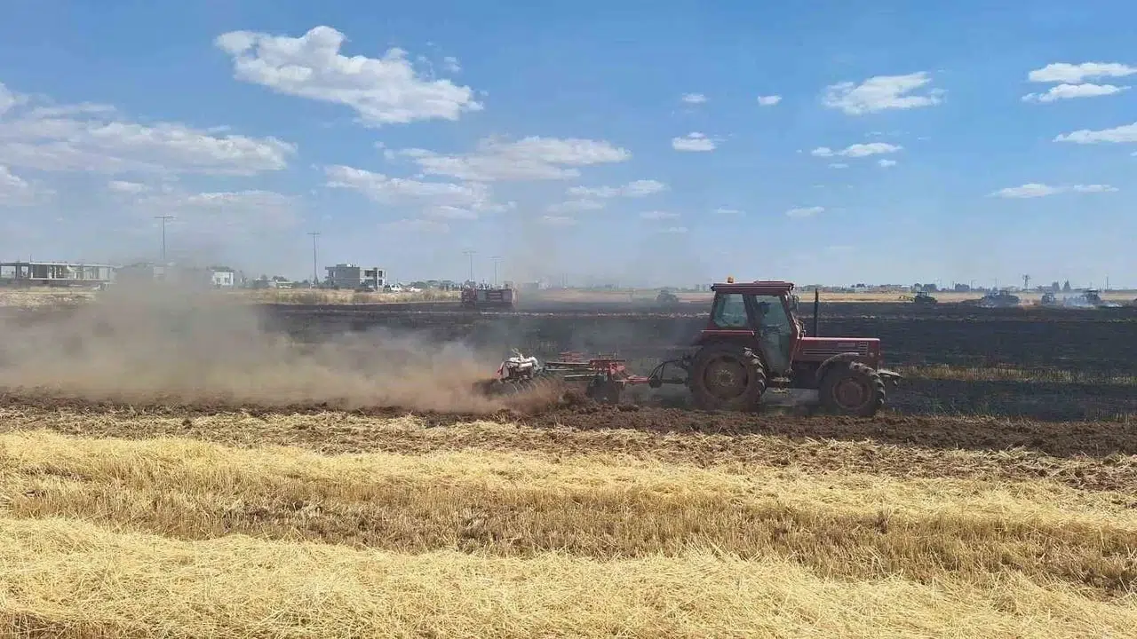 Mardin'de buğday tarlasında yangın çıktı: 80 dönüm alan zarar gördü