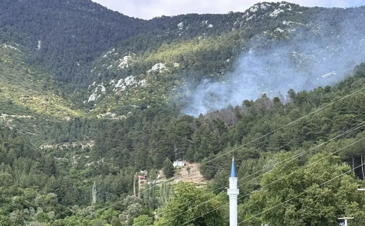 Antalya'da yangın: Yangına havadan ve karadan müdahale ediliyor