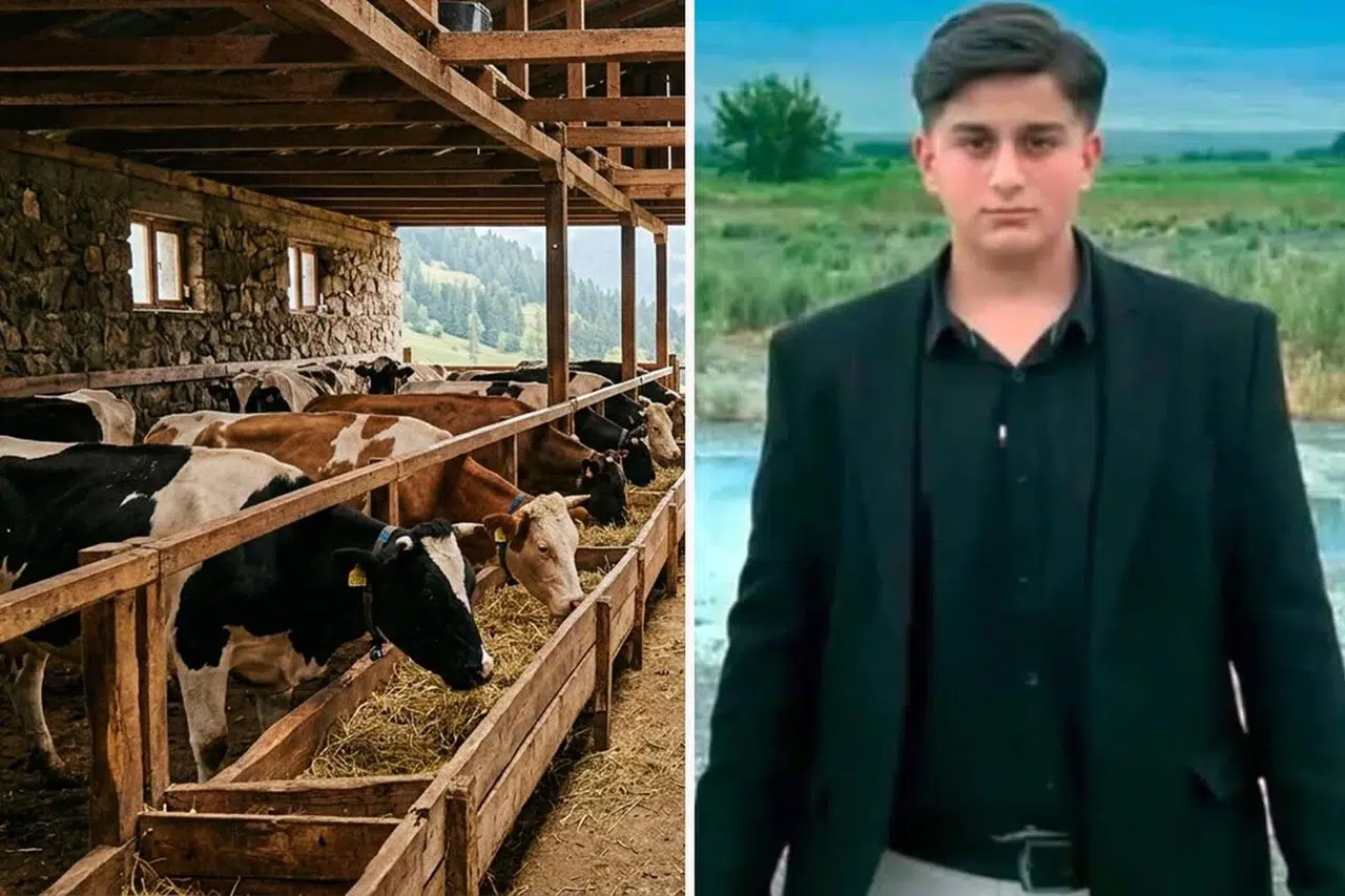 Iğdır'da büyükbaş hayvanın saldırısında 16 yaşındaki genç yaşamını yitirdi