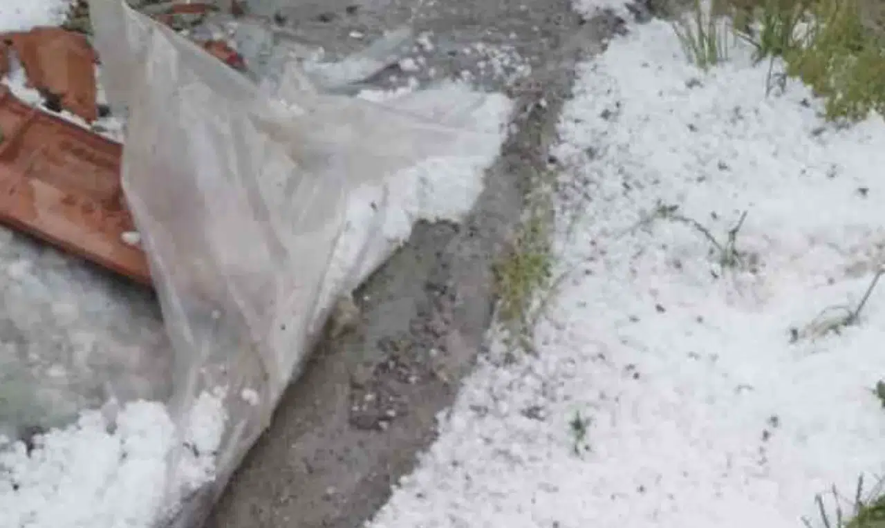 Kastamonu'da dolu yağışı tarım arazilerine zarar verdi