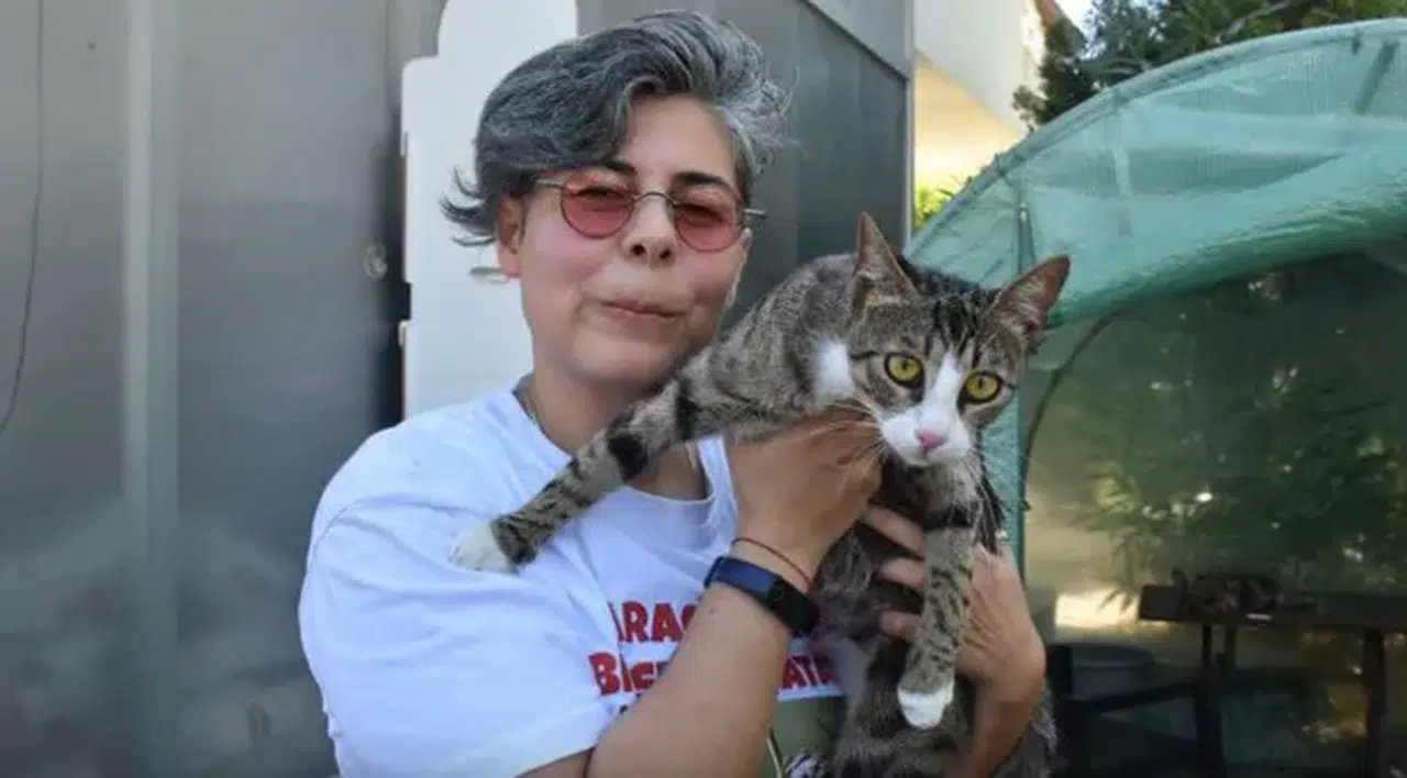 Veterinerleri bile şaşırtan olay! Erkek sanılan kedi yavruladı