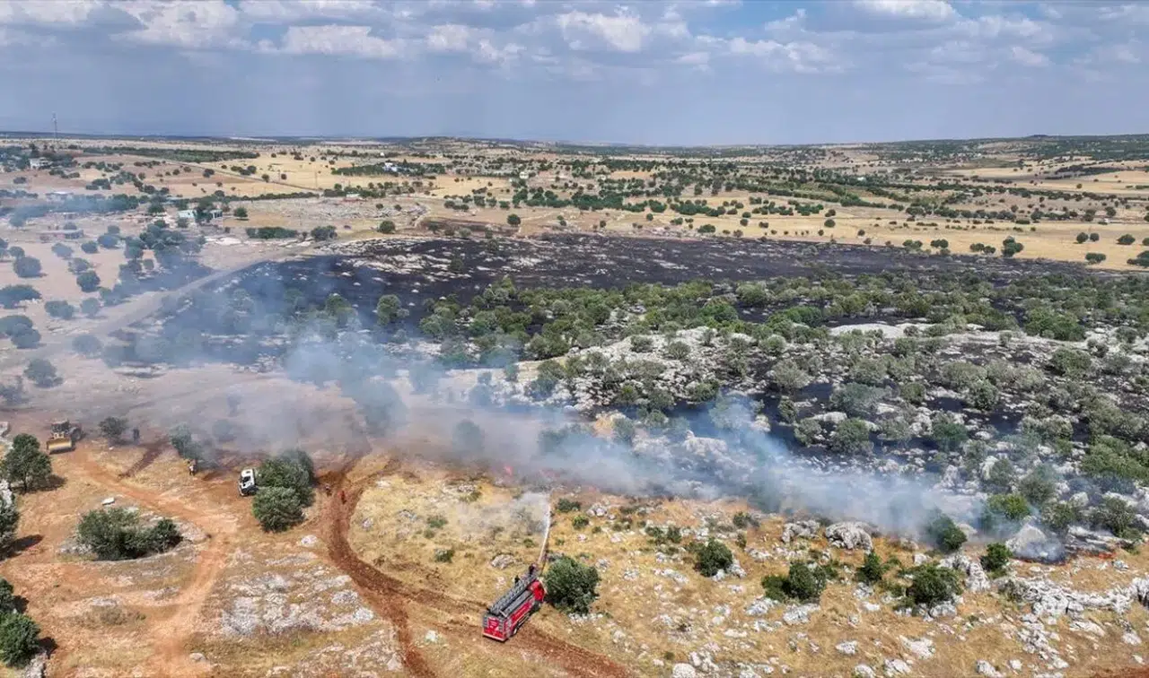 Diyarbakır'da 120 dönümlük alanı etkileyen yangın kontrol altına alındı
