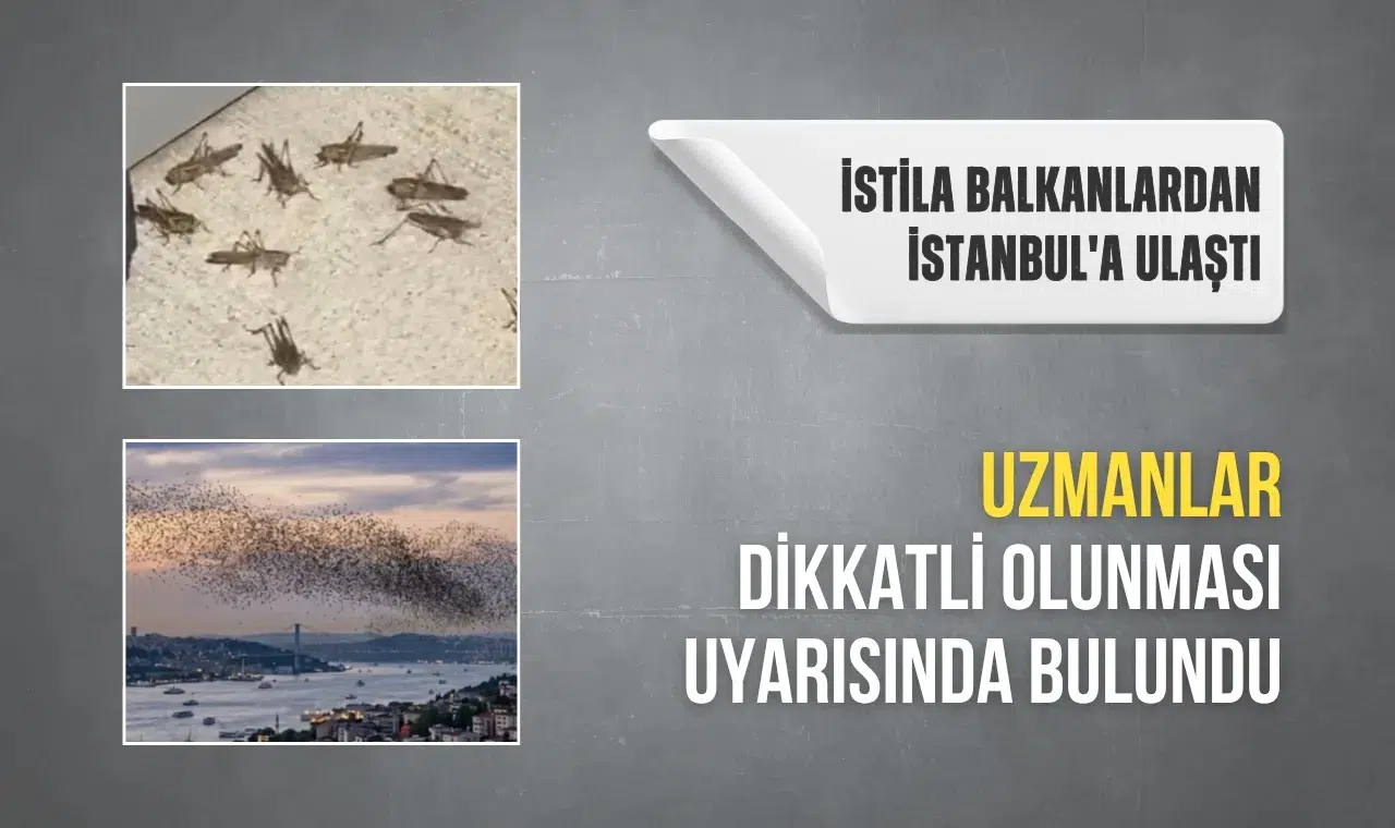İstila Balkanlardan başladı İstanbul'a ulaştı
