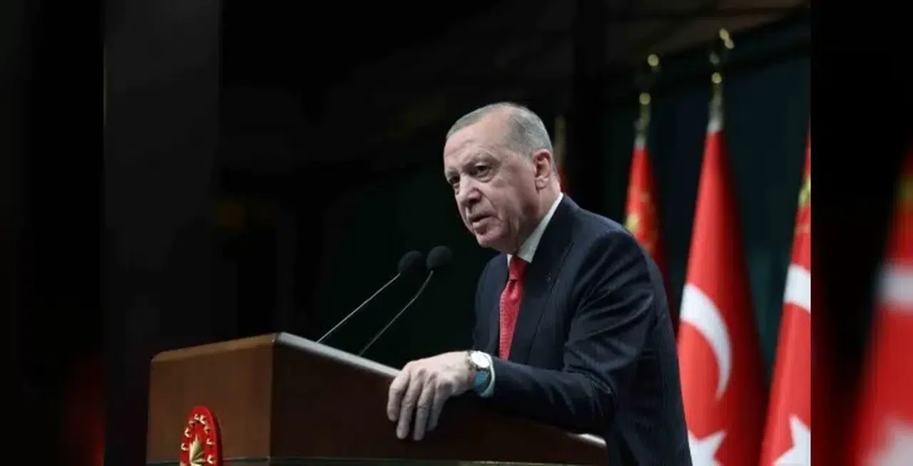 Cumhurbaşkanı Erdoğan'dan yangın uyarısı: "Açık alanlarda ateş yakmayalım"