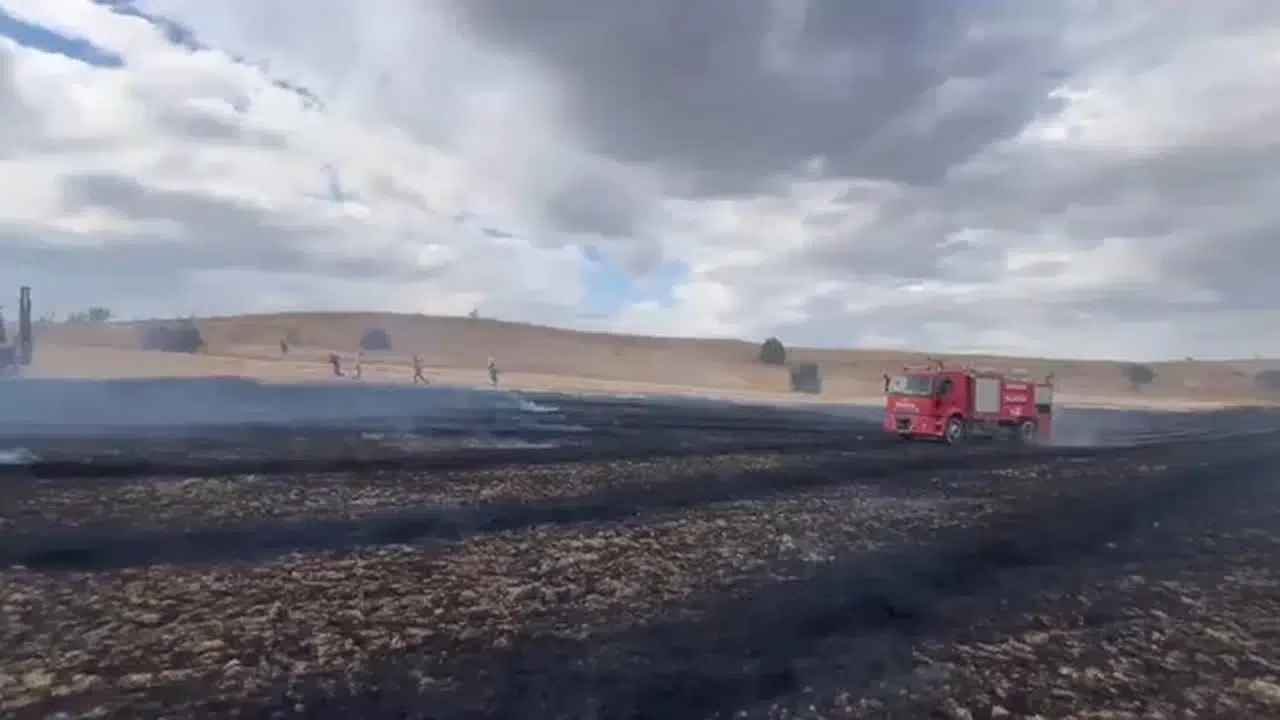 Çorum'da anız yangını: Arı kovanları zarar gördü