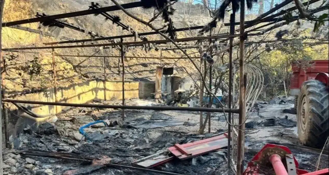 Tarım ve Orman Bakanlığı'ndan yangın açıklaması: "Mücadelemiz sürüyor"