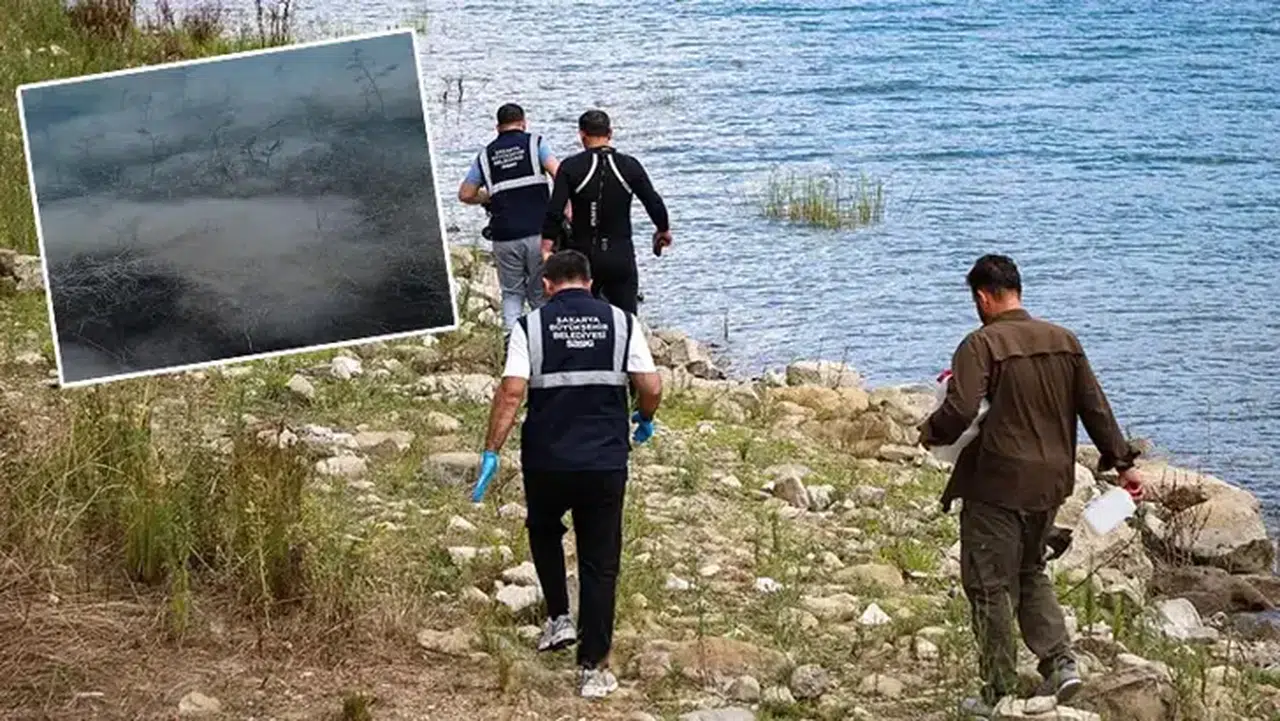 Sapanca Gölü'nde yeşil alg tespit edildi