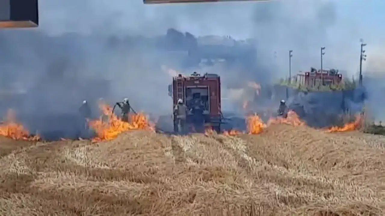 Silivri'de yangın çıktı: Alevler hobi bahçelerine sıçradı