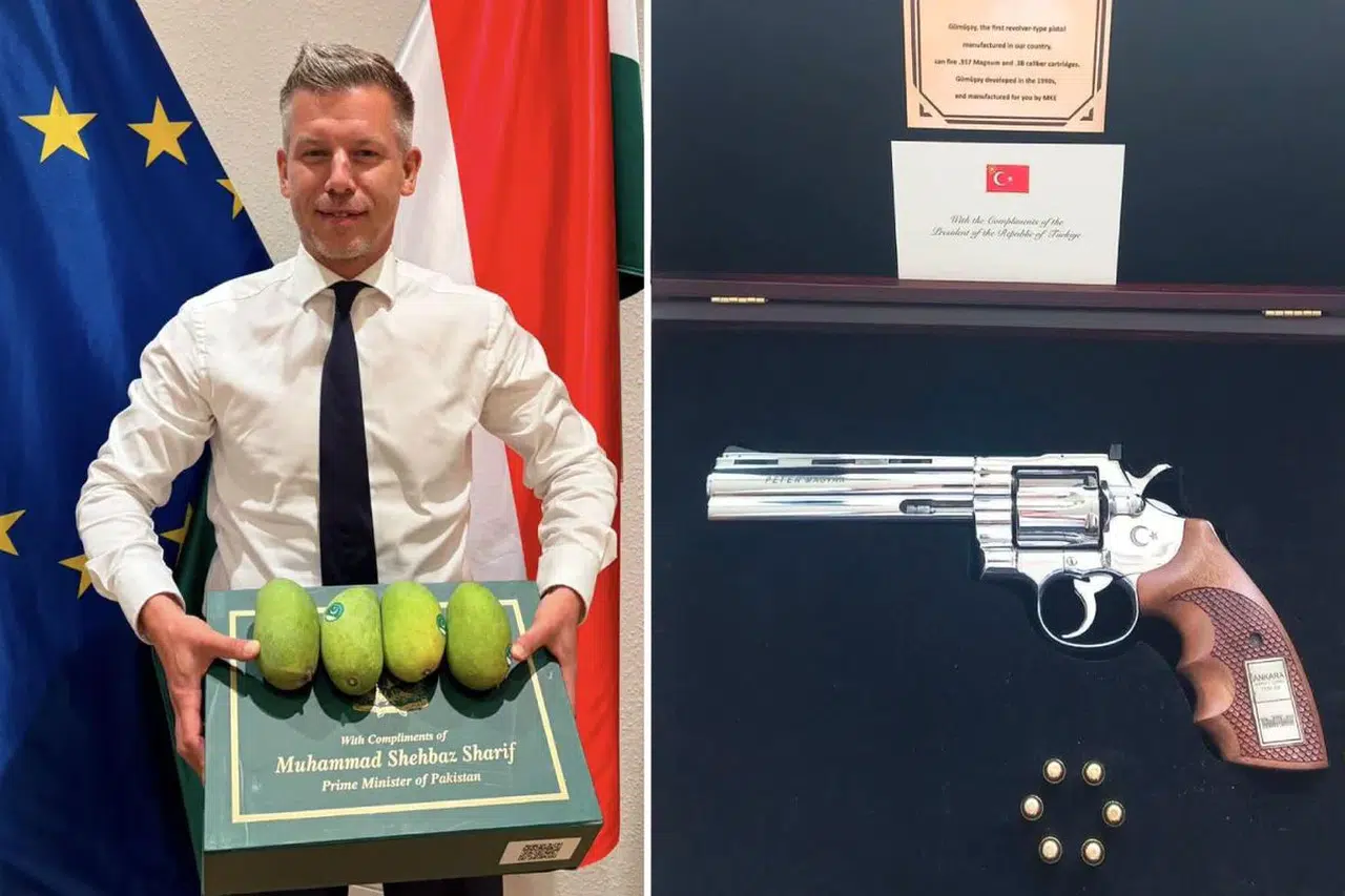 Magyar'dan Erdoğan'ın hediyesine dikkat çeken gönderme