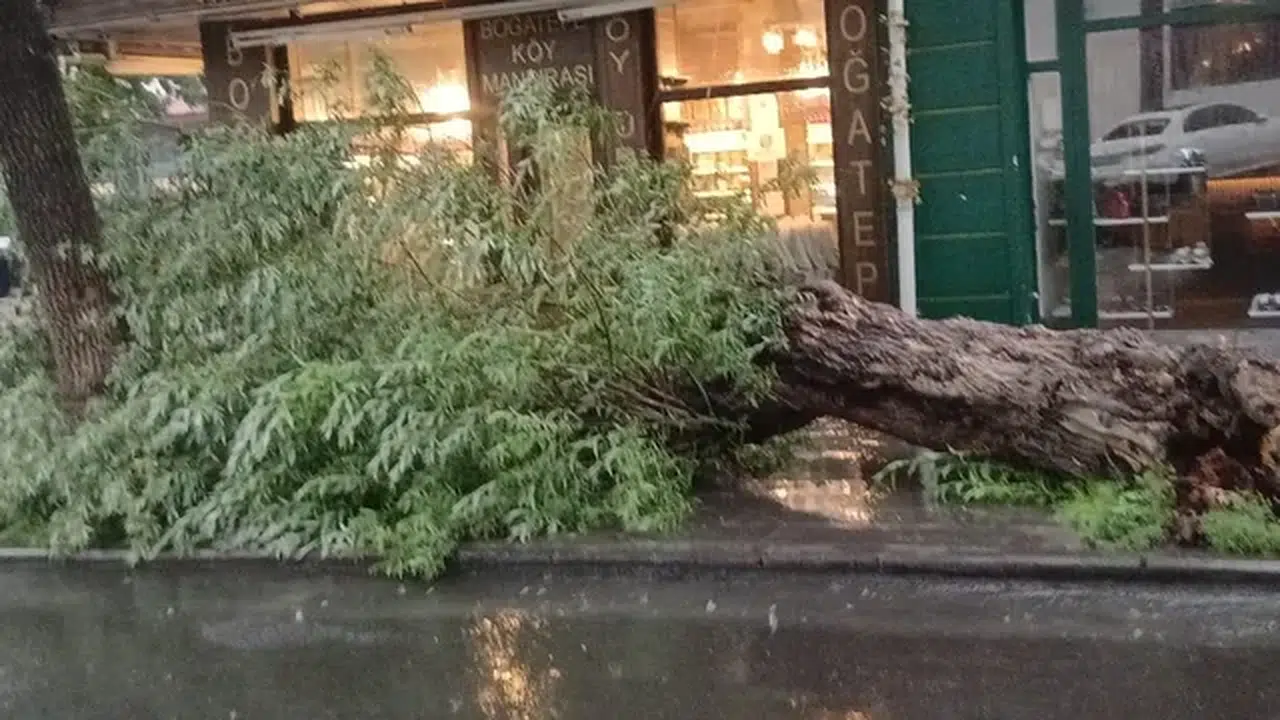 Kars'ta sağanak ve fırtına hayatı olumsuz etkiledi