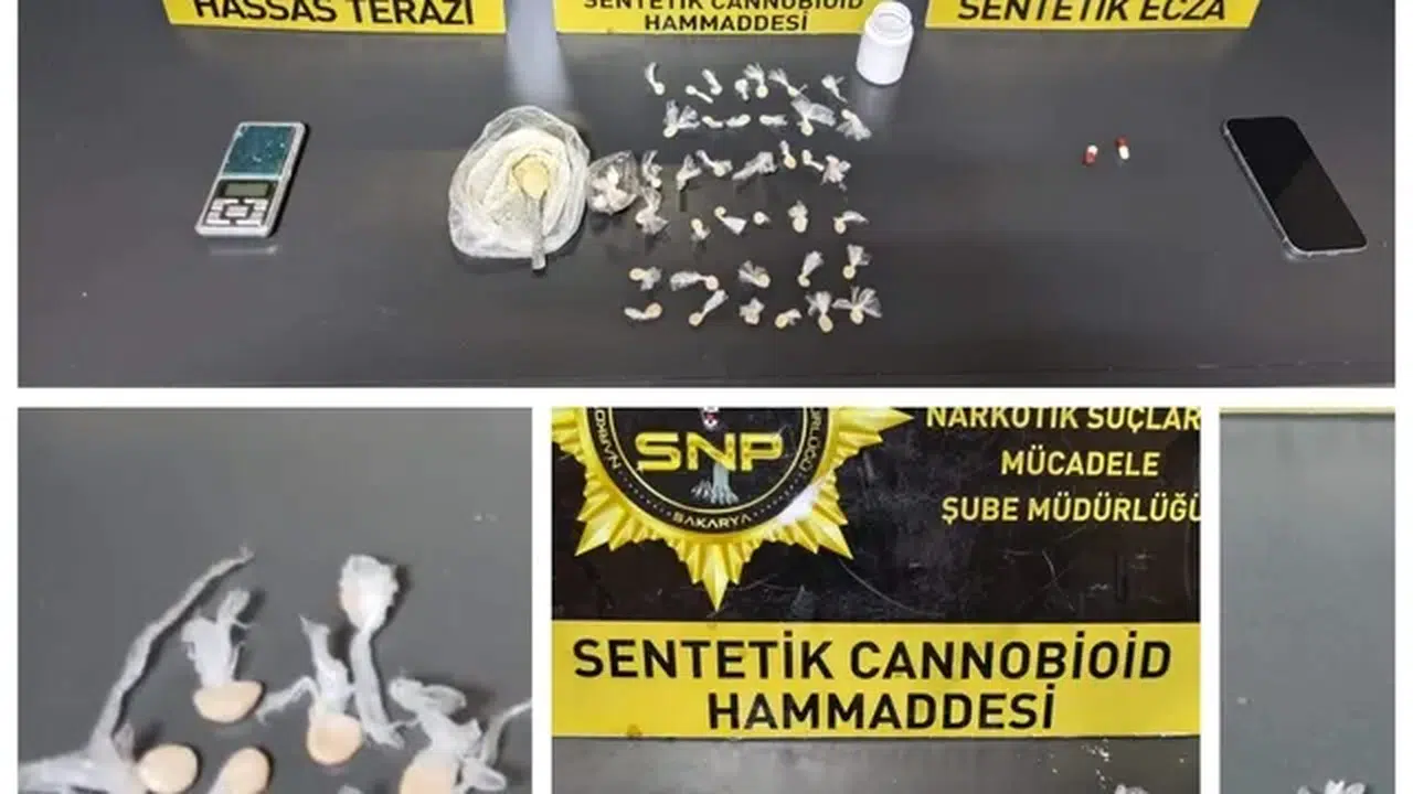 Sakarya'da evde bonzai üretimi operasyonu: 1 şüpheli tutuklandı