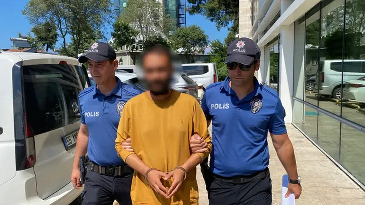 Kediye tekme atan şüpheli tutuklandı: "Sinirliydim, pişmanım"