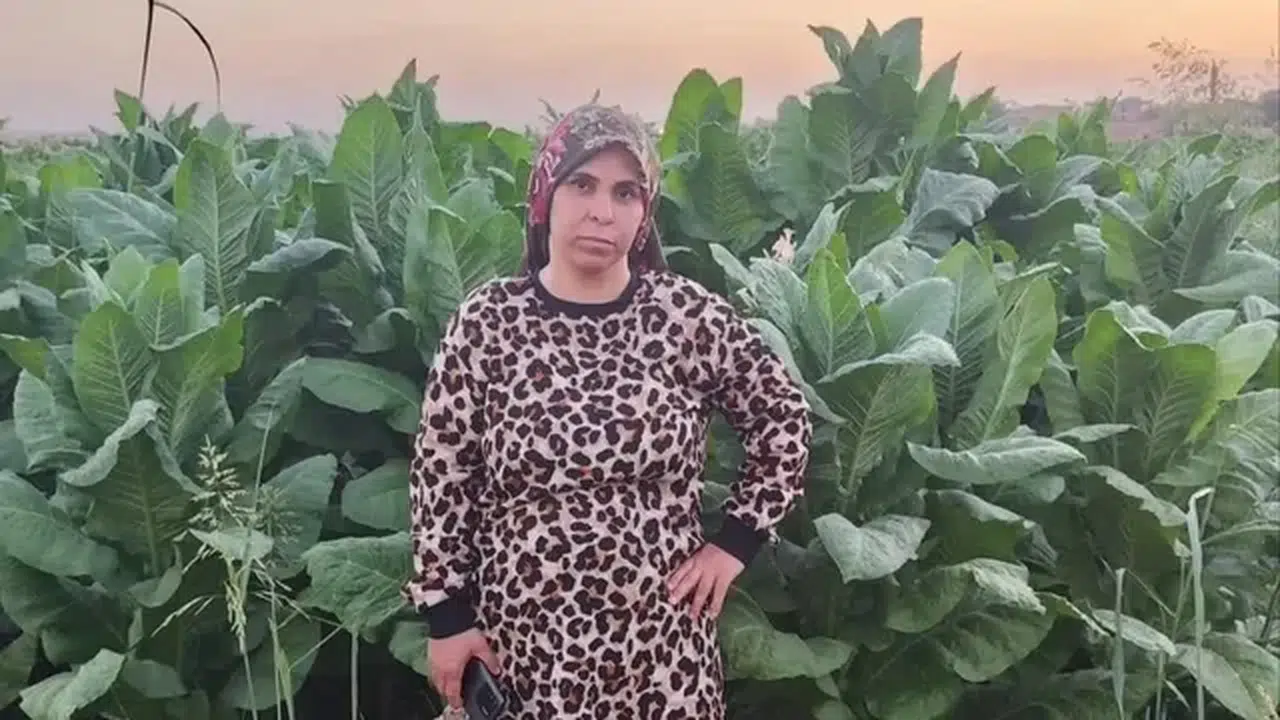 Tarlada çalışırken fenalaşan 3 çocuk annesi hayatını kaybetti