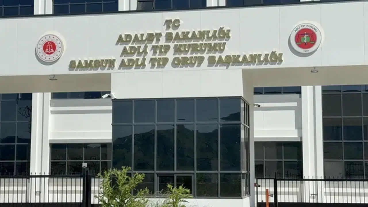 Samsun'da ağaçtan düşen yaşlı adam yaşamını yitirdi