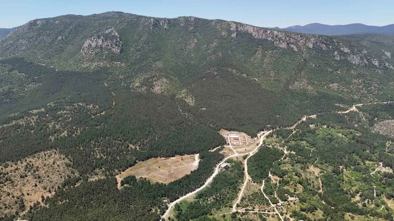 35 gündür kayıp olarak aranıyordu: Üniversite öğrencisi ormanda ölü bulundu