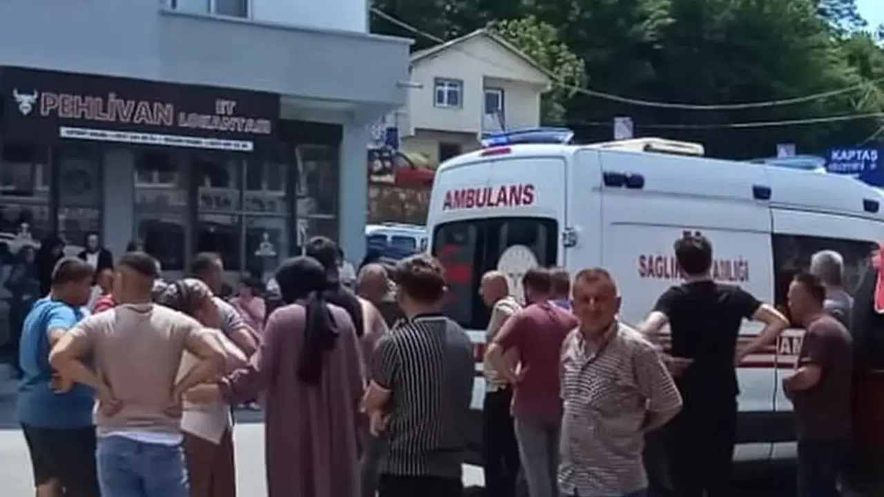 Eşek arısının soktuğu kadın yaşamını yitirdi