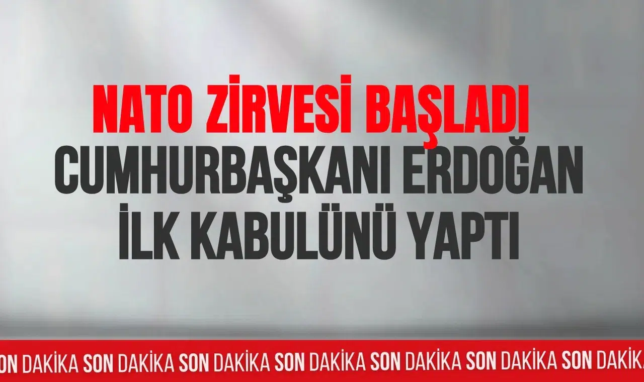 Cumhurbaşkanı Erdoğan, NATO Zirvesi kapsamında Kanada Başbakanı Carney ile görüştü