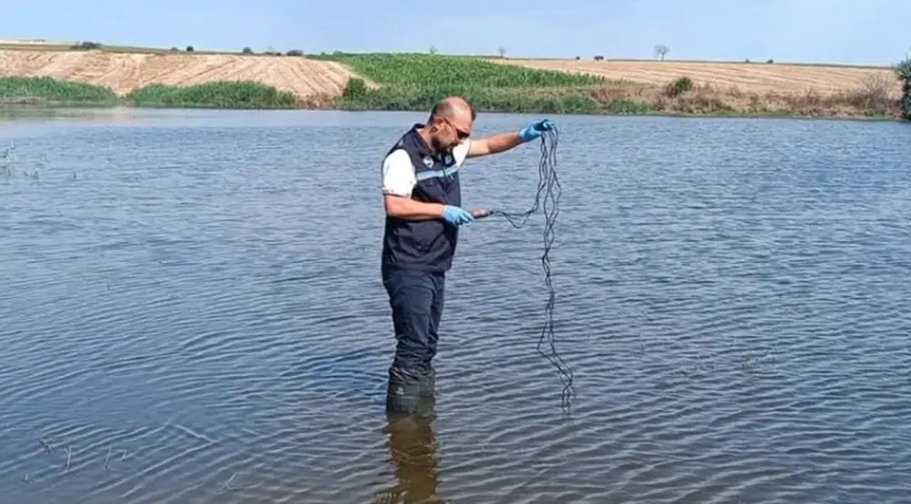 Edirne'de Korucu Göleti'nde balık ölümleri: Numuneler laboratuvara gönderildi