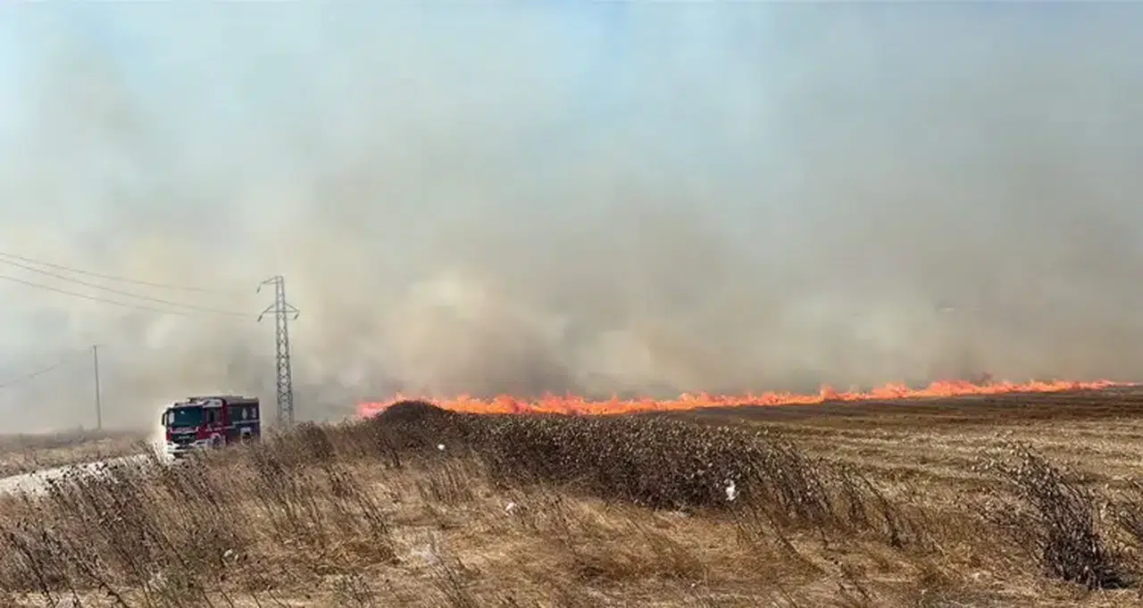 Tekirdağ'da anız yangını: 4 çiftlik evi kül oldu