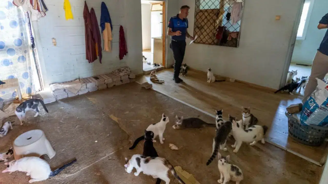 Kokunun nedeni çöp değildi! Ekipler eve girince şoke oldu