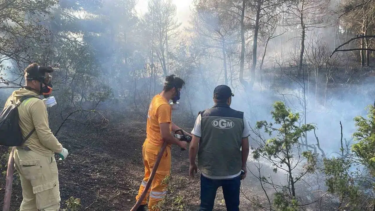 Bolu'da orman yangını: Kontrol altına alındı