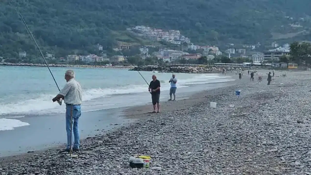 Karadeniz'de balık bolluğu yaşanıyor: Oltasını kapan sahile koştu